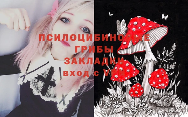 каннабис Аркадак