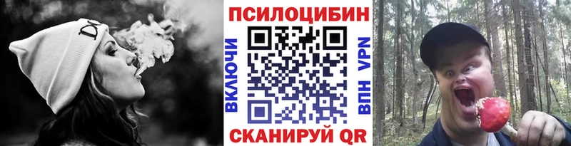 Псилоцибиновые грибы MAGIC MUSHROOMS  Купить закладки  Зеленоградск 